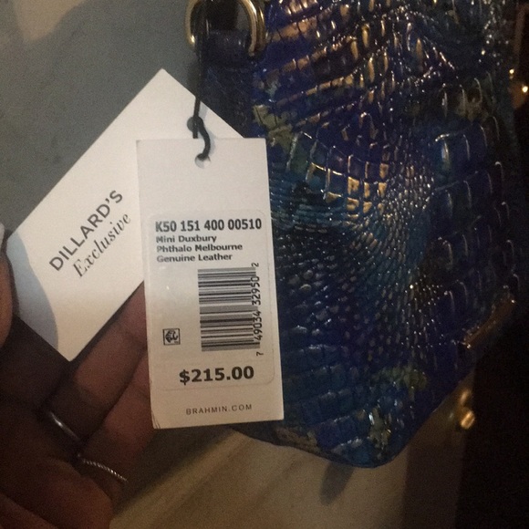 Brahmin - Picture 3 of 7